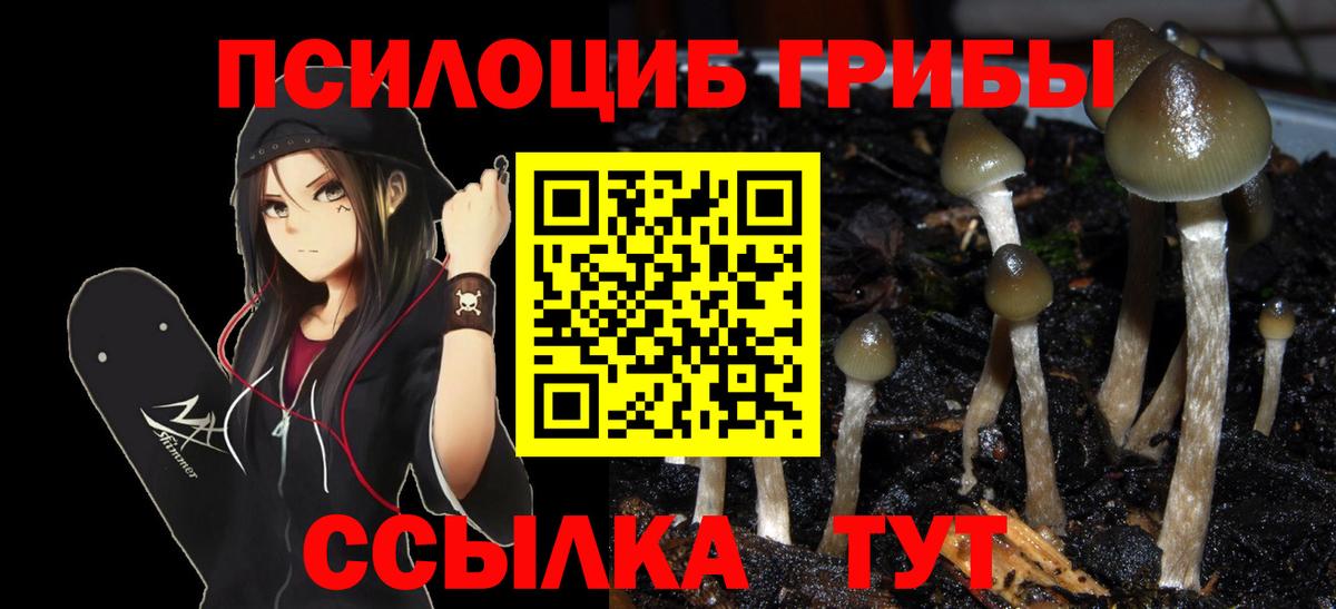Каменск-Шахтинский  Псилоцибиновые грибы Magic Shrooms  Псилоцибиновые грибы GOLDEN TEACHER  Вход с VPN 