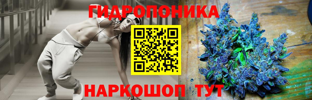 Марихуана сатива  Вход с VPN  Шишки марихуана план  МАРИХУАНА MAZAR  Шишки марихуана VHQ  Каменск-Шахтинский 
